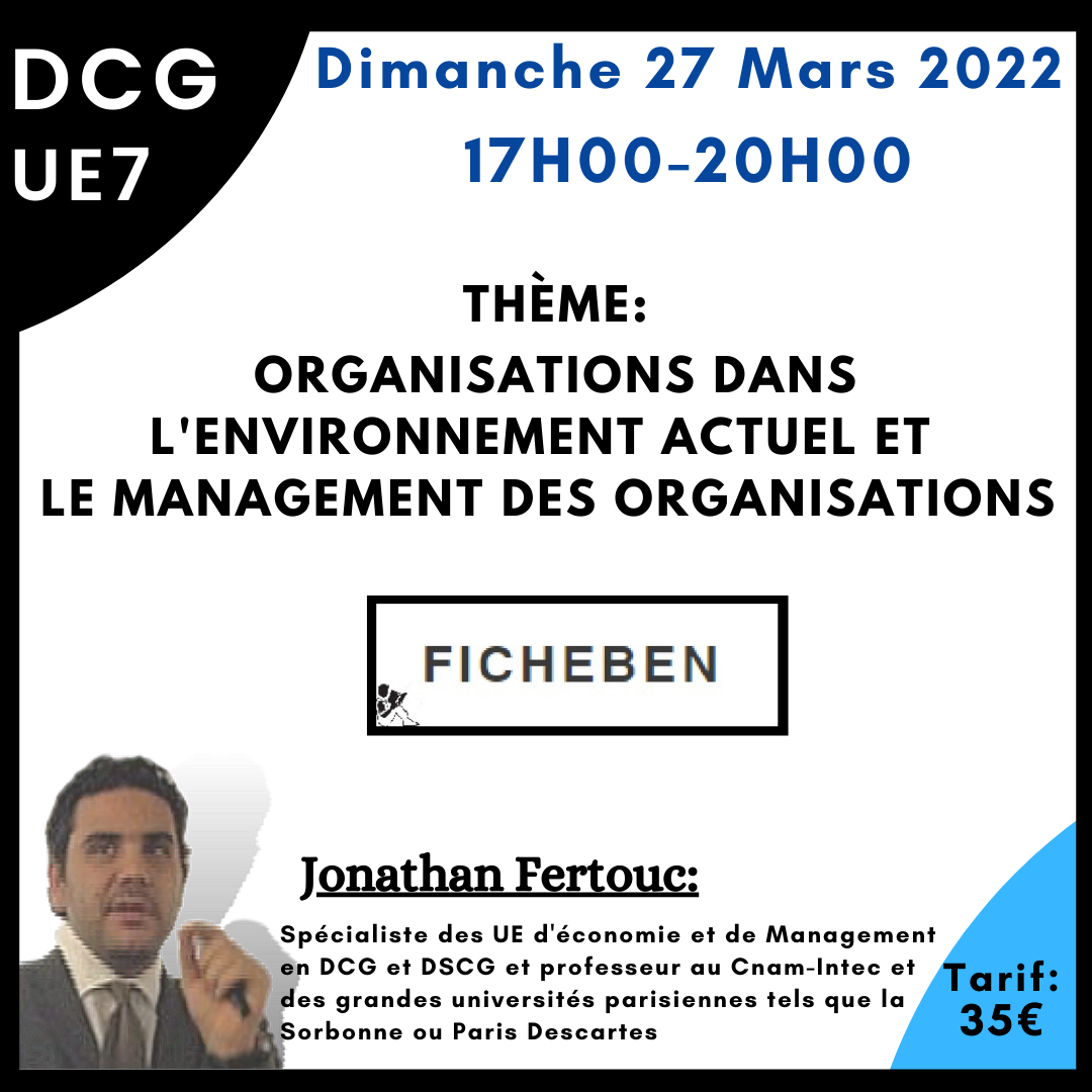 Les organisations dans l'environnement actuel et le management des organisations -FicheBEN