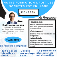 FORMATION INTENSIVE DCG UE2 DROIT DES SOCIETES  -FicheBEN